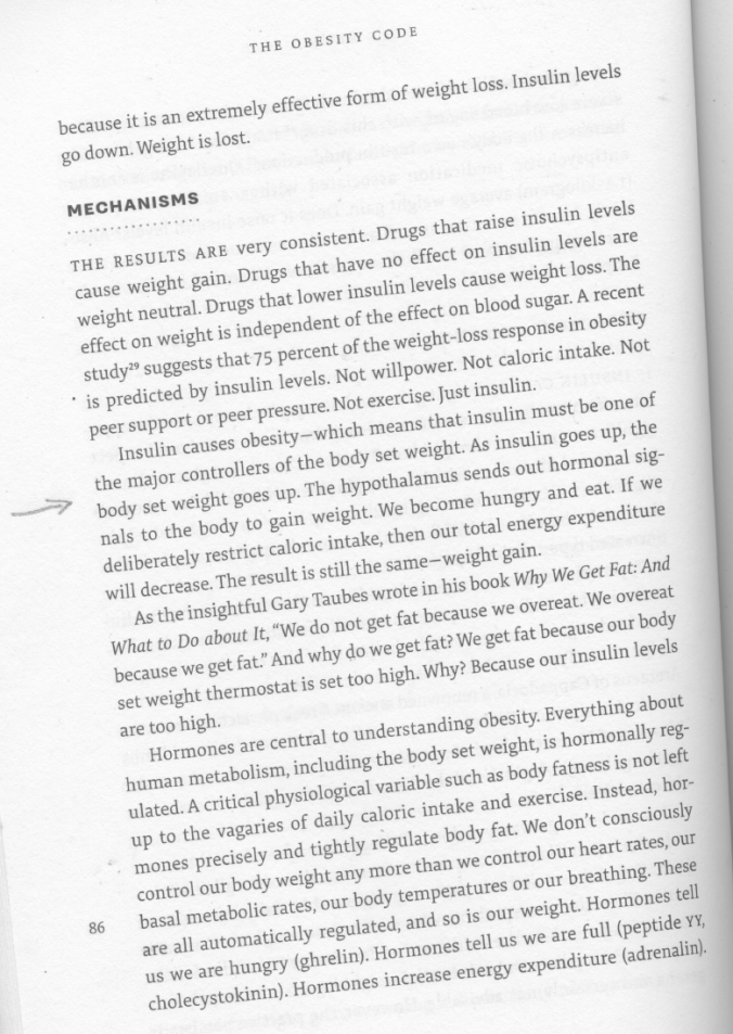 Screen Shot 2018-08-02 at 9.34.21 AM.png