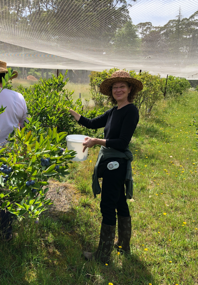 Screen Shot 2019-11-03 at 6.37.19 PM.png